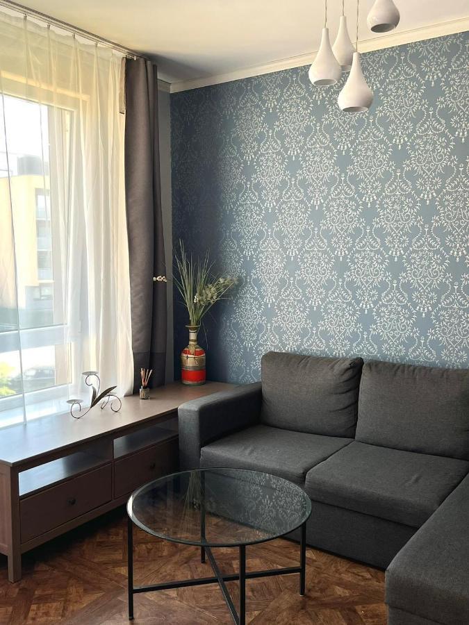 Exclusive Apartment In Vilnius Near Ozas And Technopolis Εξωτερικό φωτογραφία